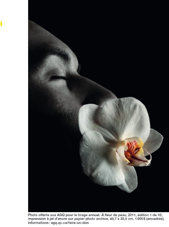 Photographie de Robert Laliberté, L'Archigai, 2022, no 32, page 1.  Photo offerte aux AGQ pour le tirage annuel.